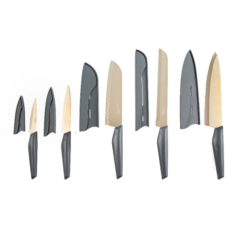 Robert Irvine 10-Piece Cutlery Set, Grey/Champagne